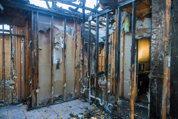 Professional Fire Damage Removal technician working in Brush Prairie, WA
